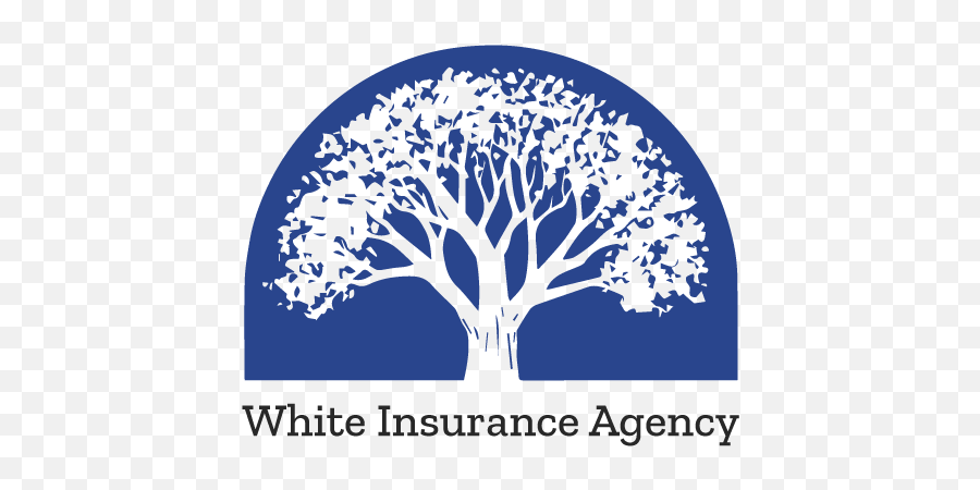 White Insurance Agency Personal Business U0026 Employee - Illustration Png,Png Tree.com