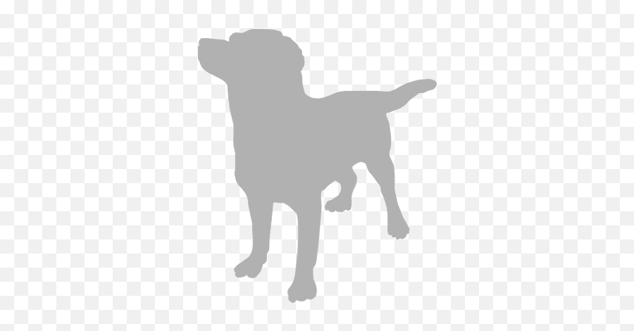 The Pet Gundog Books - Dog Outline Green Png,Labrador Icon