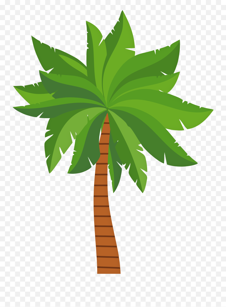 Palm Tree Png Clip Art Image Trees Clipart