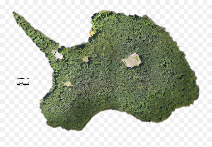 Orthomosaic Map - Moss Png,Moss Png