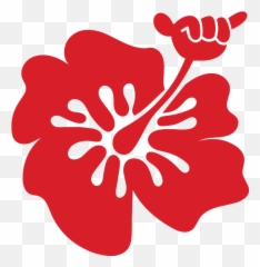 Faq - Hibiscus Surf School Logo png