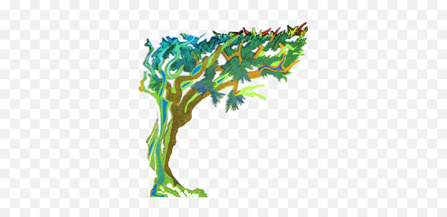 The Bristlecone Pine Tree - Illustration Png,Pine Tree Logo