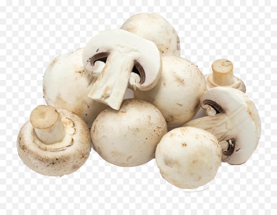 Mushroom Png Free Download