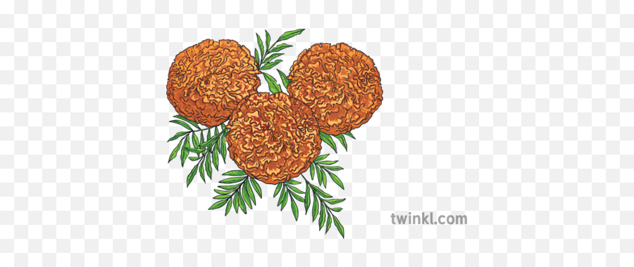 Marigold Flowers Day Of The Dead Plant Mexico Mps Ks2 - Illustration Png,Dead Flowers Png