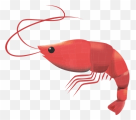 Prawn Crustacean Seafood - Prawn Png,Shrimp Png