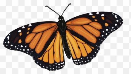 Mariposa En Png 7 Image - Mariposas Monarcas En Png,Mariposa Png