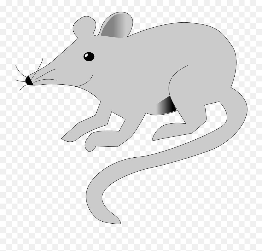 Mouse Rat Mice - Small Rat In Cartoon Png,Mice Png - free transparent png  images 