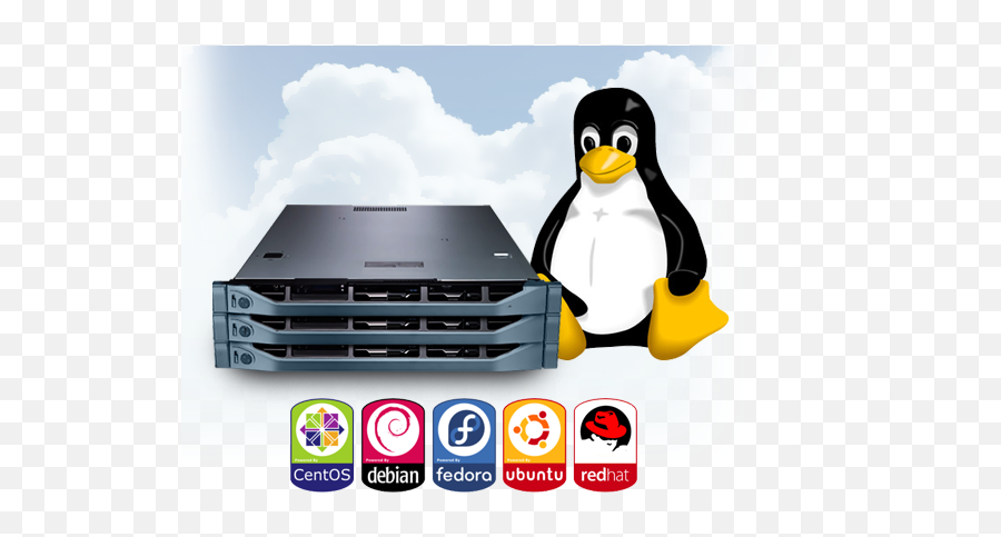 Linux Hosting - Linux Logo Penguin Png,Linux Png