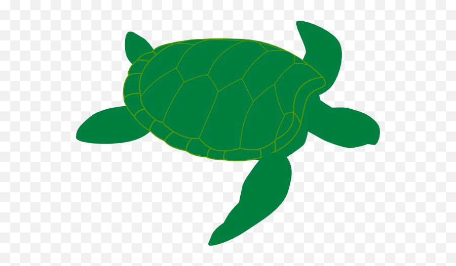 Download Sea Turtle Clipart - Green Sea Turtle Clip Art Png Sea Turtle Clipart Png,Turtle Clipart Png