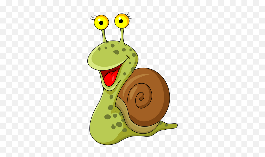 Download Funny Snail And Turtle Cartoon - Cartoon Snail Transparent Png,Snail Png