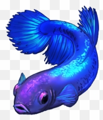 Female Betta Fish By Shivali Lorekeeper - Transparent Background Blue Betta Fish Clipart Png,Betta Fish Png