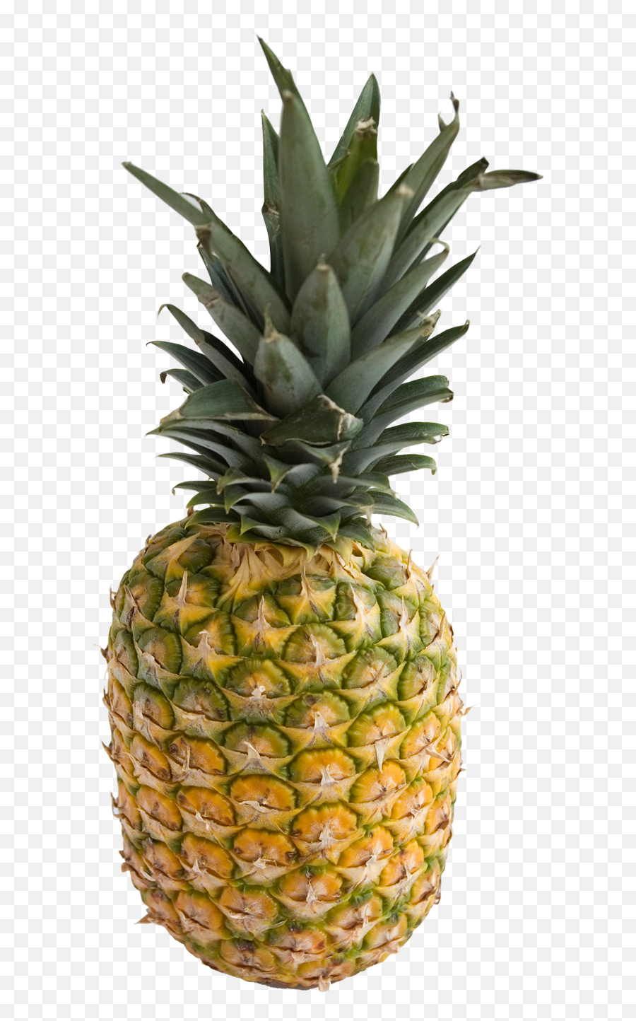 Pineapple Png And Vectors For Free - Pineapple Png Ananas Png,Pineapples Png