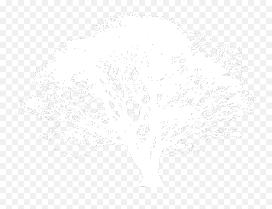 Black And White Tree Png Svg Clip Art - Joyce Meyer Quotes,White Tree Png