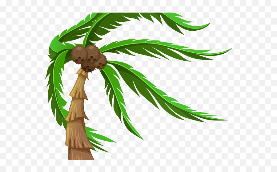 Plants Clipart Coconut Tree - Coconut Tree With Brown Coconuts Png,Coconut Tree Png