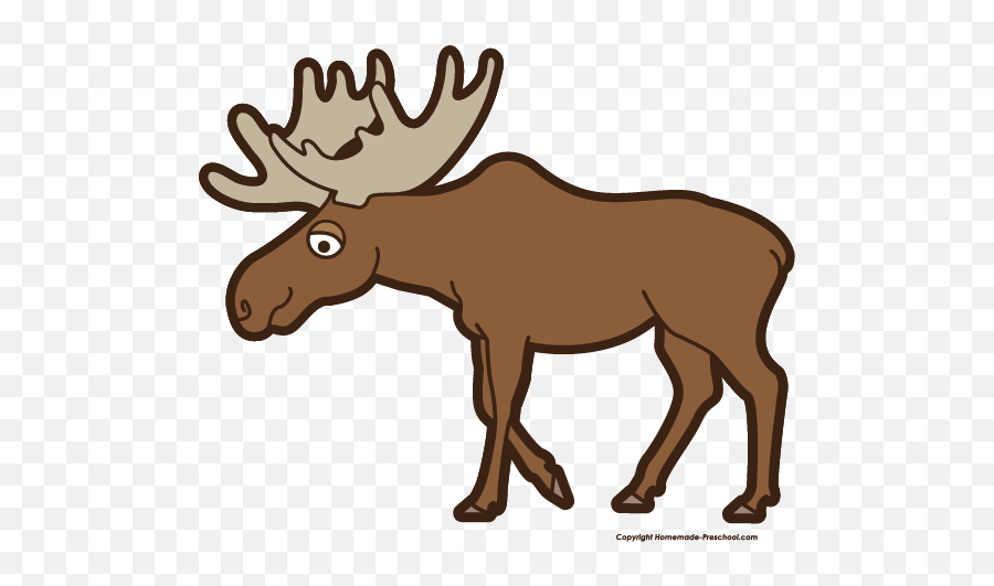 Free Moose Clipart - Moose Clipart Png,Moose Png