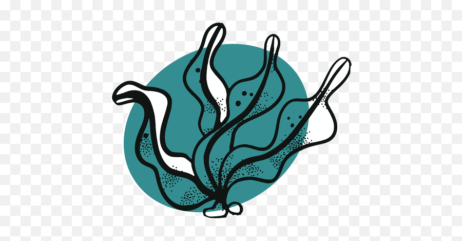 Ocean Seaweed - Transparent Png U0026 Svg Vector File Algas Png Logo,Ocean Water Png
