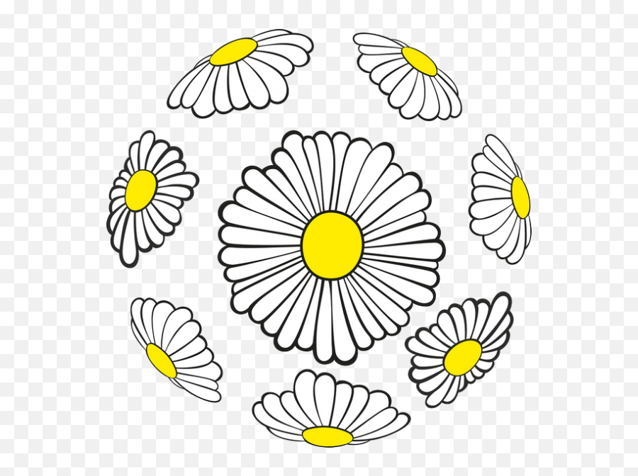 Spring Flowers Transparent Png Images - Png,Daisies Png