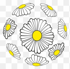 Spring Flowers Transparent Png Images - Png,Daisies Png