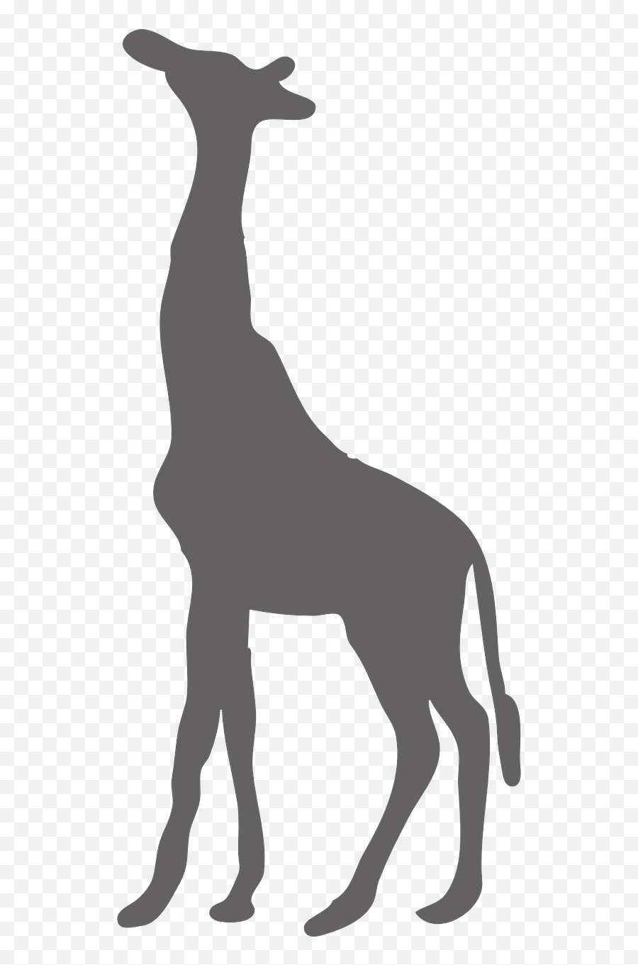 Wild Animal Safari Png Image Clipart - Giraffe Silhouette,Jungle Animals Png