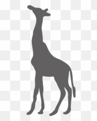 Wild Animal Safari Png Image Clipart - Giraffe Silhouette,Jungle Animals Png
