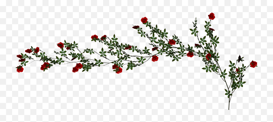 Rose Vine Png Download - Rose Vine Png,Rose Vine Png