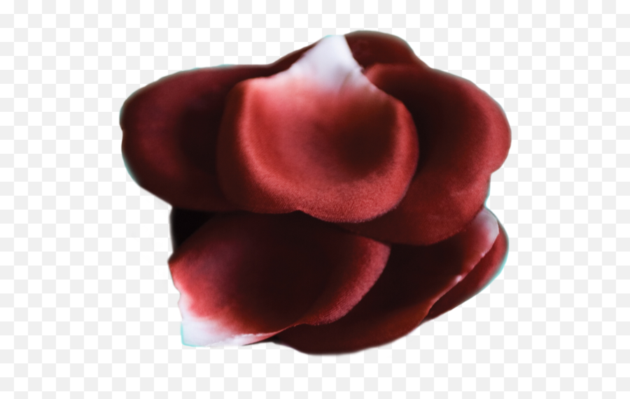 Rose Petal Png - Bijoux Indiscrets Rose Petal Explosion Rose,Rose Petal Png