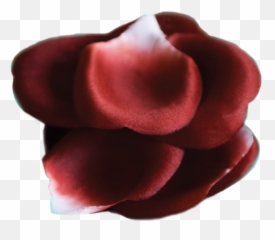 Rose Petal Png - Bijoux Indiscrets Rose Petal Explosion