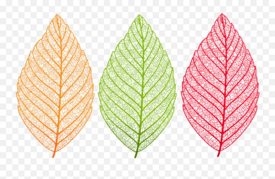 Download Transparent Leaves Set Clipart Png Photo - Translucent Clipart Transparent Background,Leaf Transparent Background