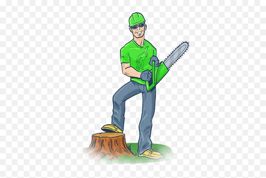 Three Ways Tree Roots Can Damage Your Property - Cartoon Tree Service Png,Tree With Roots Png