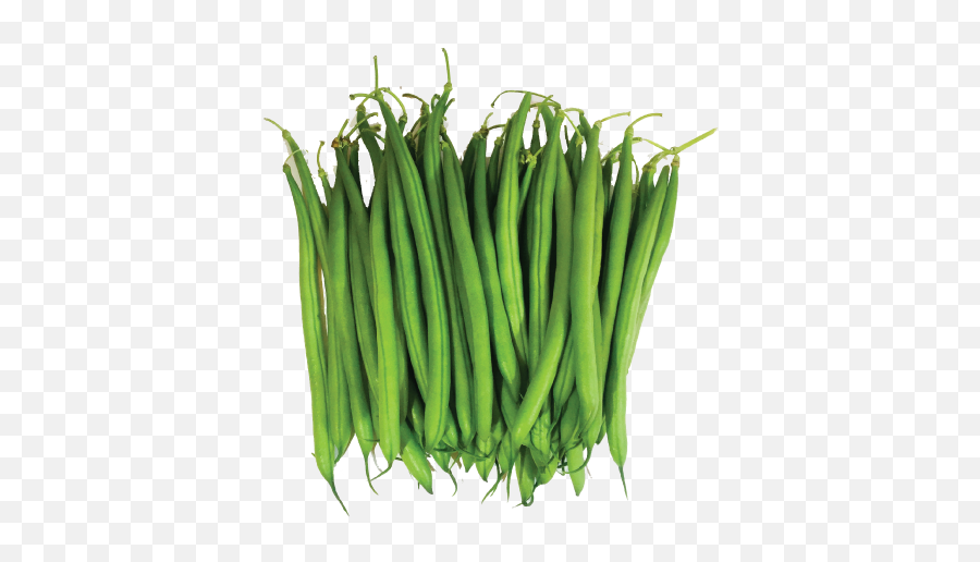 Green Bean Png - Transparent Background Green Beans Png,Beans Png