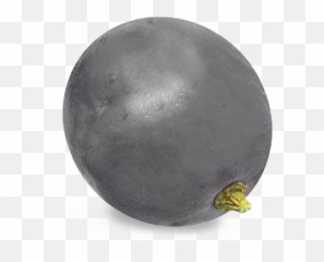 Grapes Transparent Free Png Play - Single Purple Png