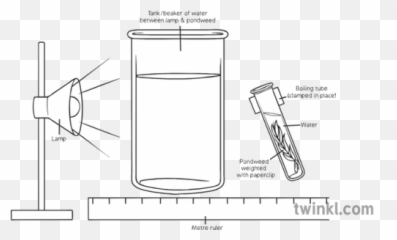 Effect Of Light Intensity - Cylinder png
