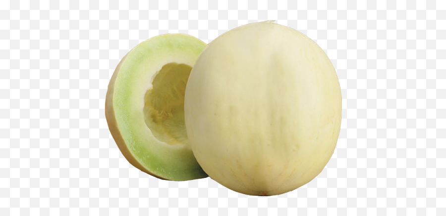 Honeydew - Outside Of A Honeydew Png,Honeydew Png