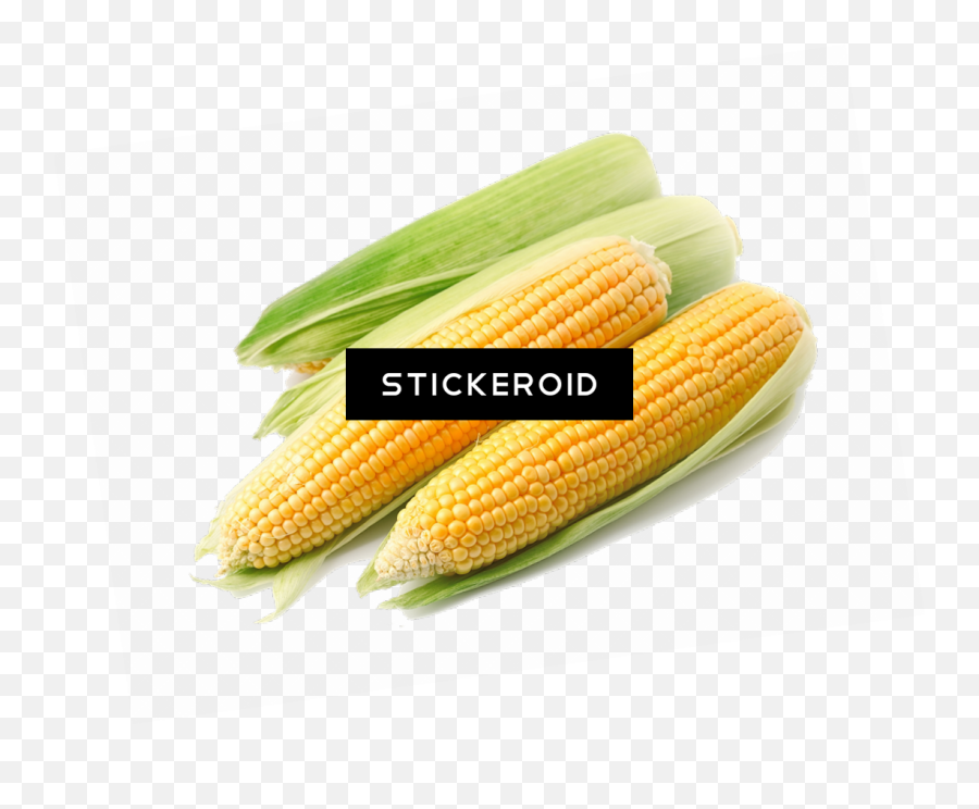 Download Corn - Corn Kernels Png Image With No Background Zzyzx Road Sign,Corn Transparent Background