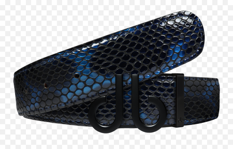 Shiny Snakeskin Texture Belt Blue U0026 Black With Matte U2018dbu2019 Icon Buckle - Seattle Public Library Png,Shiny Icon