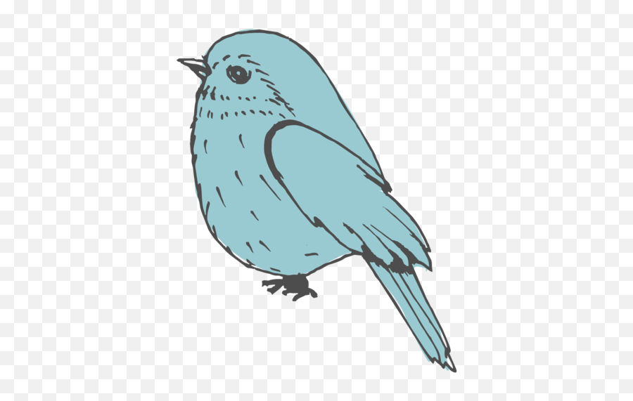 Mountain Bluebird Transparent Png Image - Bluebird Icon Png,Bluebird Icon