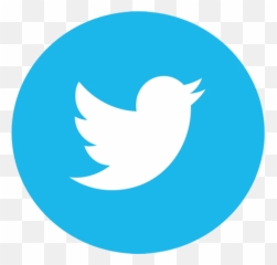 Teaching Artists U2014 Nj State Teen Arts Festival - Transparent Twitter Round Logo png
