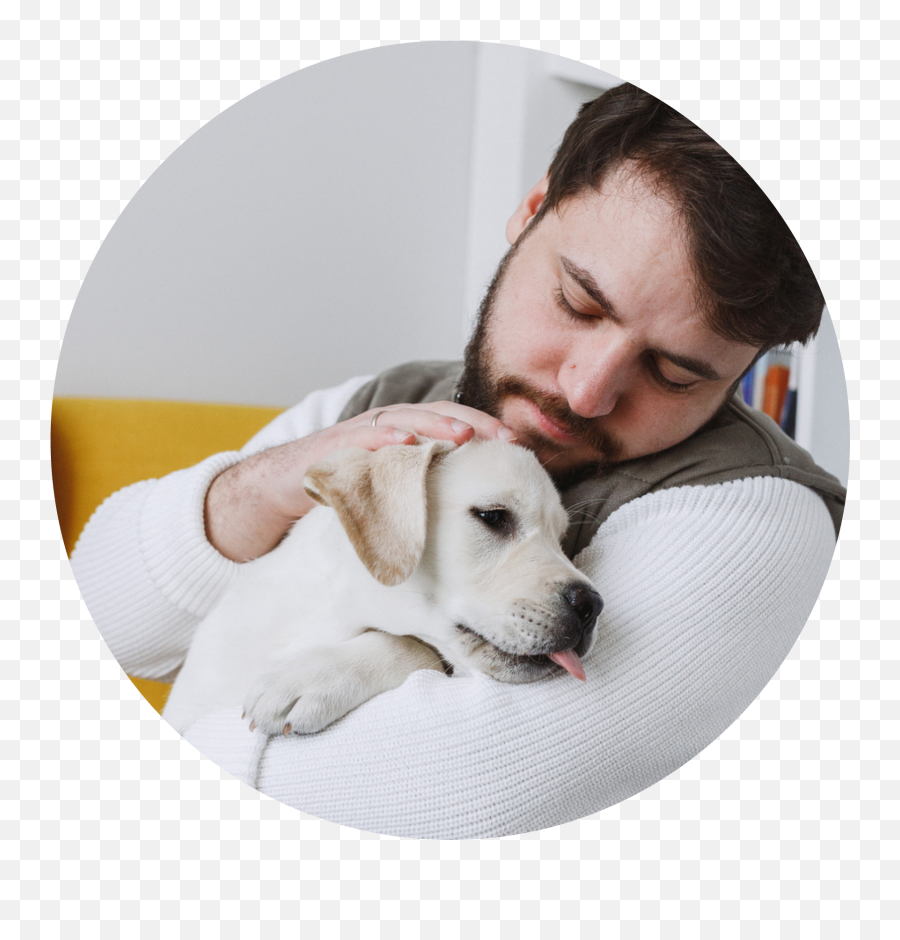 Pet Parenting Resources - Collar Png,Markiplier Icon