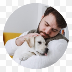 Pet Parenting Resources - Collar png