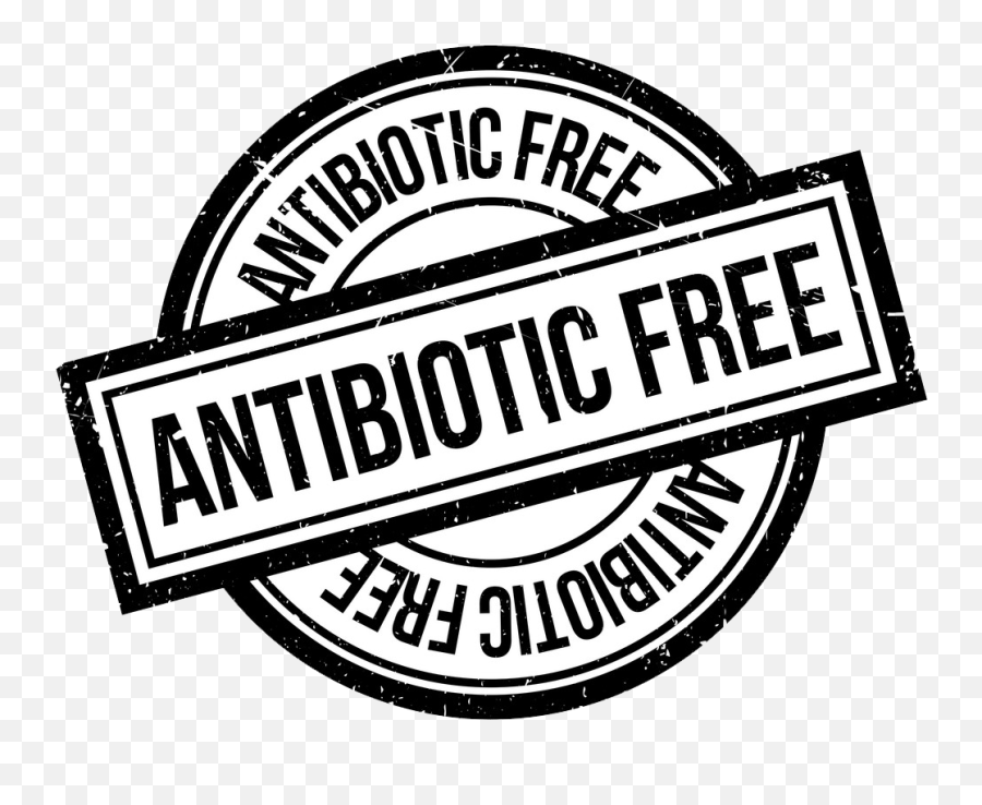 Antibiotic - Freerubberstampvector12431420 Pipestone Atelje 212 Png,Approved Stamp Icon