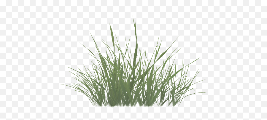 Sweet Grass Vetiver Commodity - Unity Billboard Grass Texture Png,Grass Texture Png