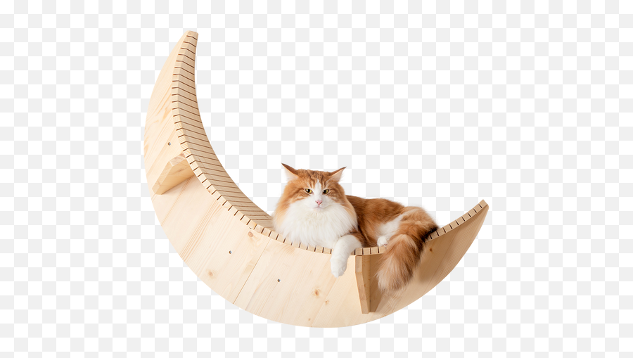 Wall - Mounted Cat Shelf Floating Cat Bed Luna Myzoo Cat Perch Wall Png,New Lunar Republic Icon