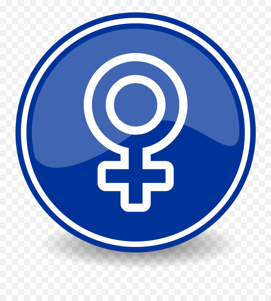 Filecorrect Female Iconsvg - Wikimedia Commons Png,Female Icon Vector