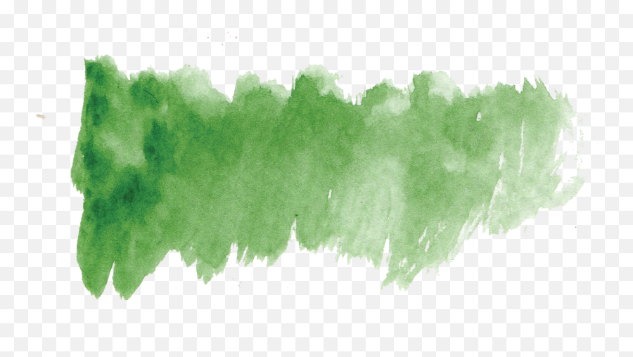 Green Creativity - Transparent Background Leaves Aesthetic Png,Green Transparent Background