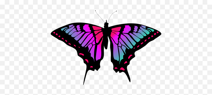 Colorful Butterfly Vector - Mariposa Vector Png,Mariposa Png