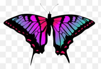 Colorful Butterfly Vector - Mariposa Vector Png,Mariposa Png