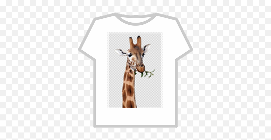 Giraffe - Productive Mr Duck Roblox T Shirt Png,Giraffe Transparent Background