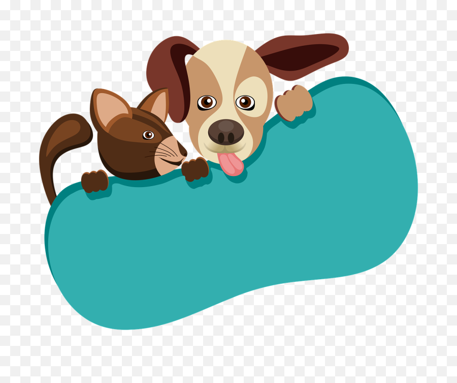 Animals Dog Cat - Perro Y Gato Dibujo Png,Dog And Cat Png