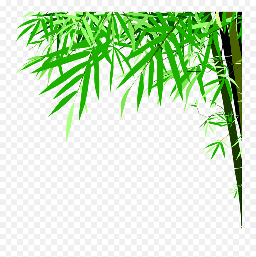 Green Bamboo High Definition Beauty Png - Bamboo Vector Hd Png,Bamboo Transparent Background