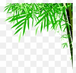 Green Bamboo High Definition Beauty Png - Vector Hd
